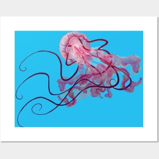 Jellyfish Swim Posters and Art